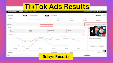 Manage And Setup Run Tiktok Ads Campaign, Tiktok Ads, Tik Tok Advertising