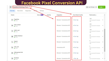 Manage And Setup Run Tiktok Ads Campaign, Tiktok Ads, Tik Tok Advertising