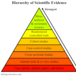 Do Forest Plots, Meta Regression, Trial Sequential Analysis, Publication Bias