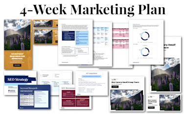 Run A Full 4 Week Marketing Plan For You This Month