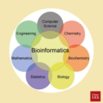 Do Bioinformatics, Genomics, And Metagenomics Analysis