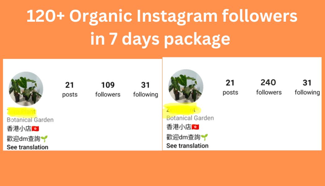 Do Organic Instagram Growth And Promotion