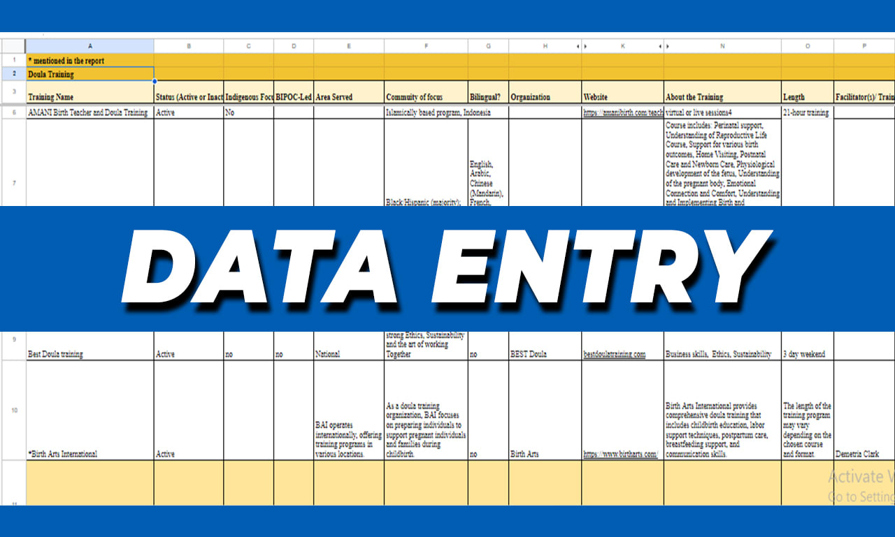 Be Your Data Entry, Data Mining, Data Formatting And Pdf To Excel Expert