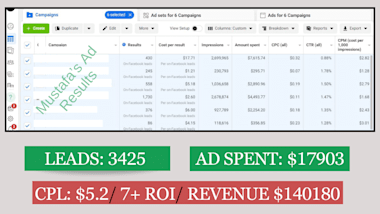 Setup Fb And Ig Ads For Sales, Leads, And Traffic Campaigns