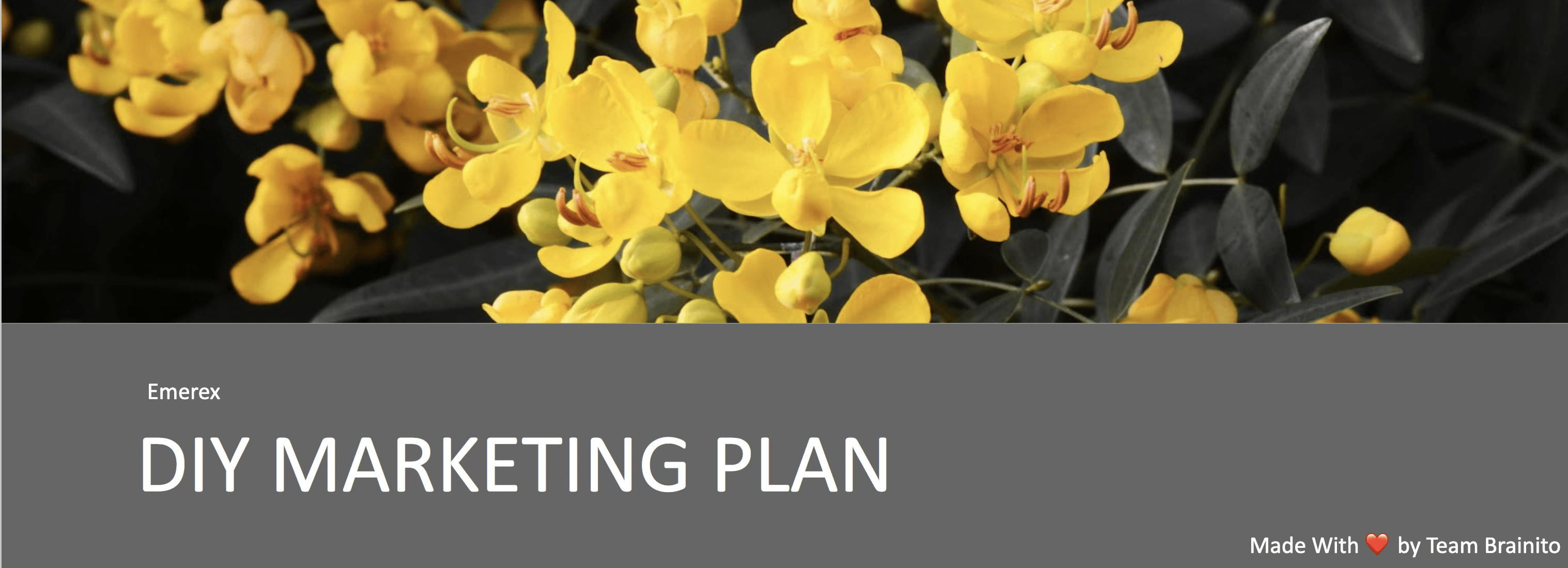 Prepare Marketing Strategy Plan For Execution