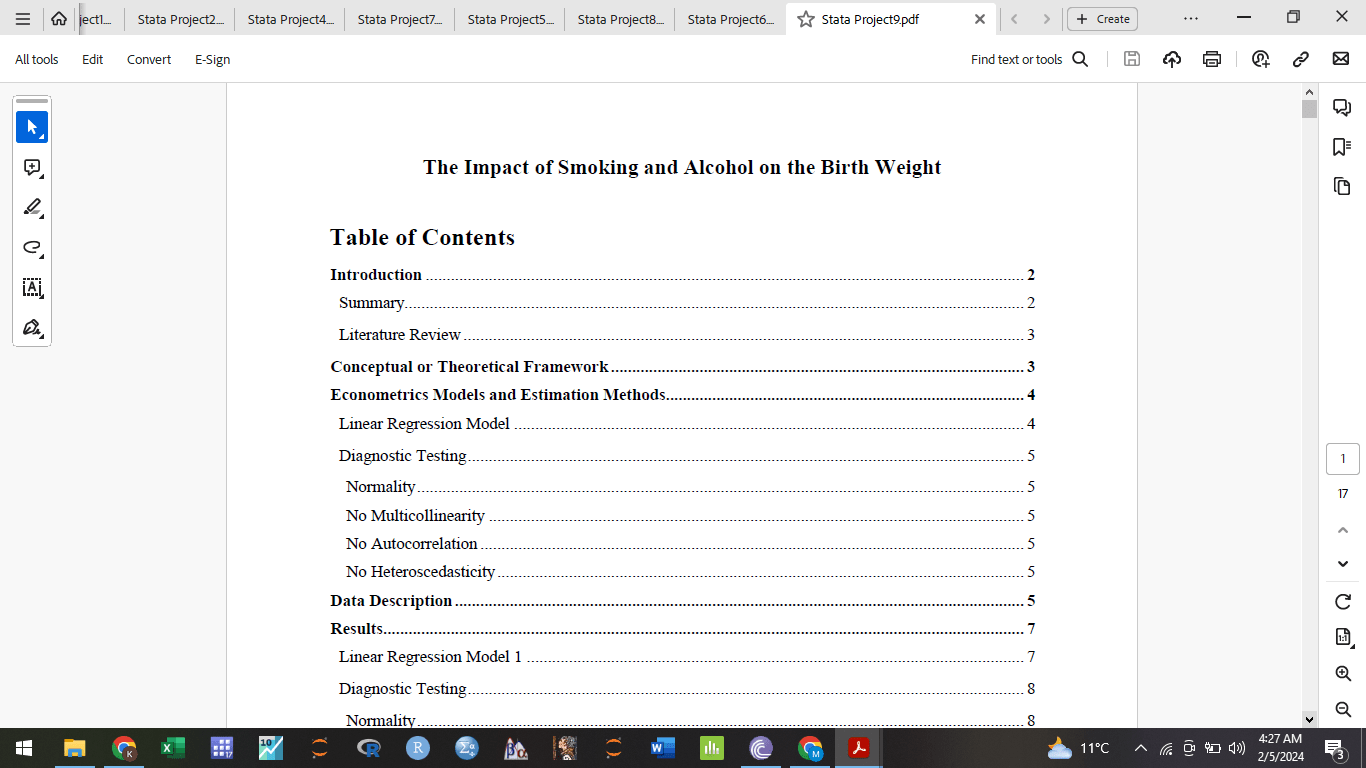 Tutor You With Statistics, And Econometrics By Python R Studio Stata