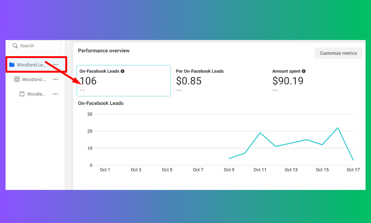 Setup And Manage Facebook Ads Campaign, Instagram Ads For Leads And Sales