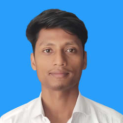 Bipul Roy