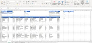 Be Your Urgent Excel Assignment And Chart Expert