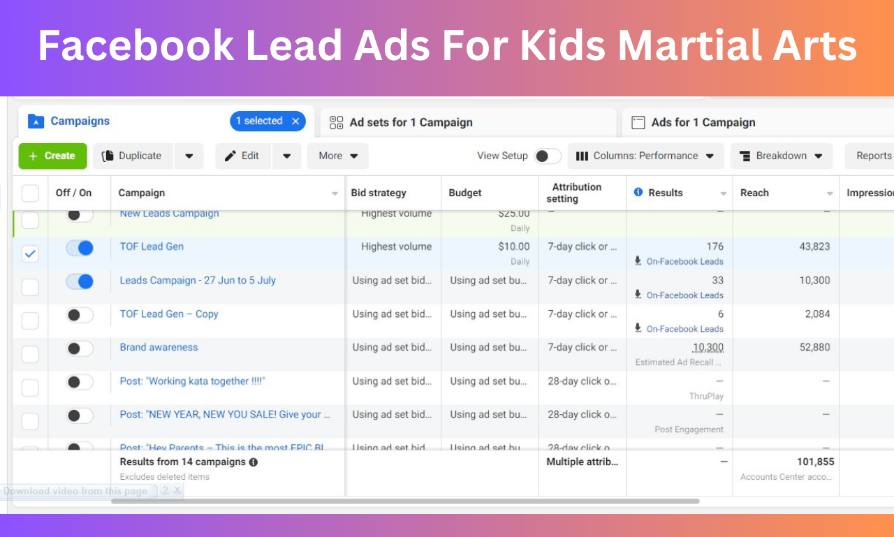 Be Your Facebook Ads Campaign Manager, Fb Marketing And Shopify Fb Ads Manager