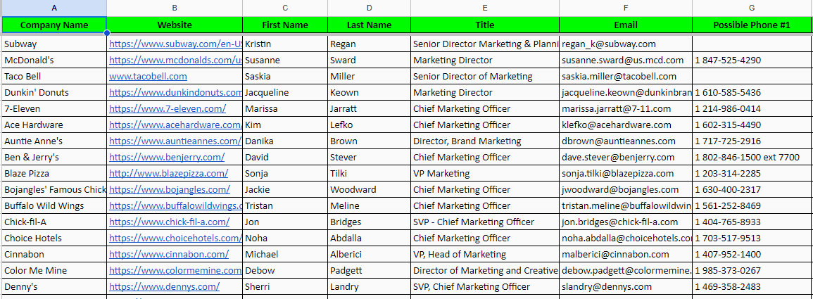 Do Data Entry, Copy Paste, Typing, Web Research And Excel Data Entry