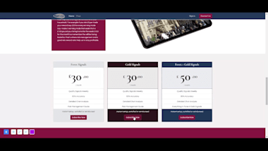 Build A Professional, Responsive Ecommerce Odoo Website